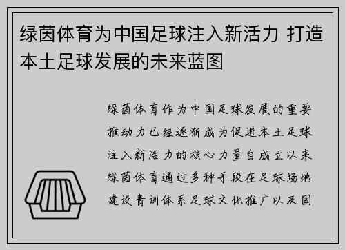 绿茵体育为中国足球注入新活力 打造本土足球发展的未来蓝图